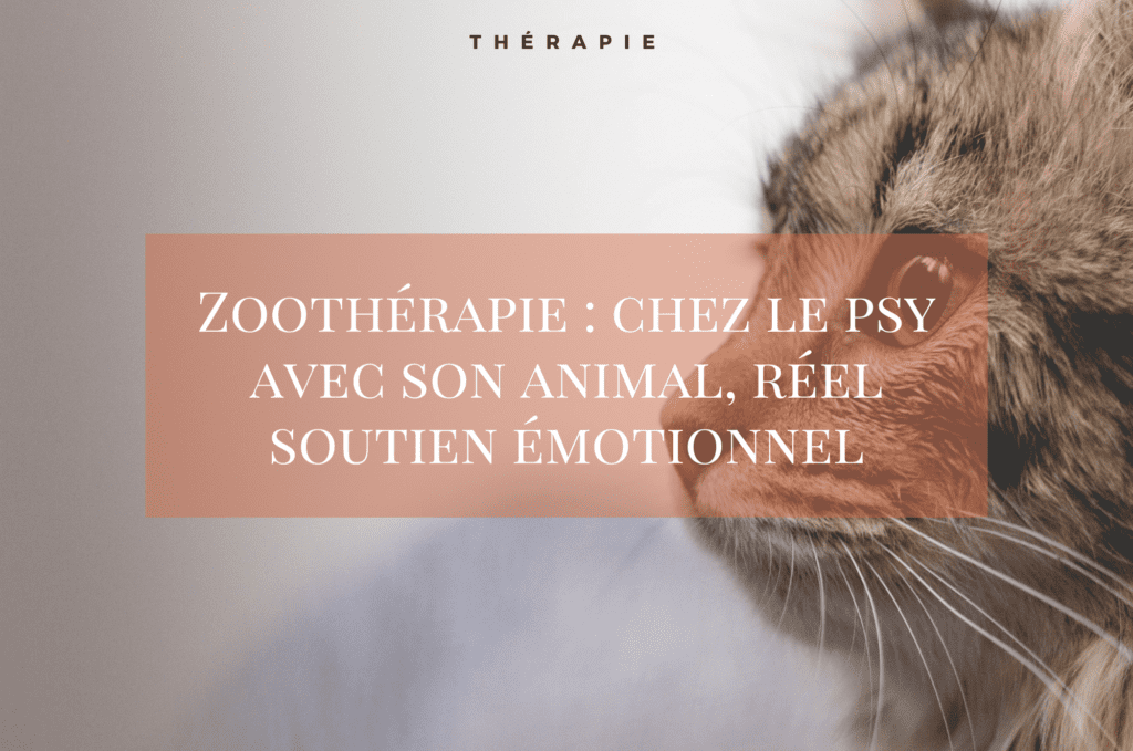 Zoothérapie thérapie animal